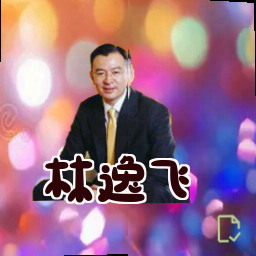 林逸飞